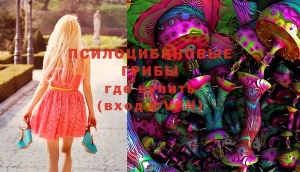 ГАЛЛЮЦИНОГЕННЫЕ ГРИБЫ Алексин